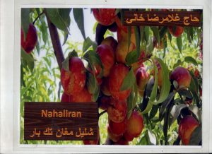untitled-11