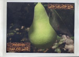 untitled-14